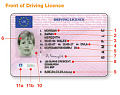 Photo - card Driving licences